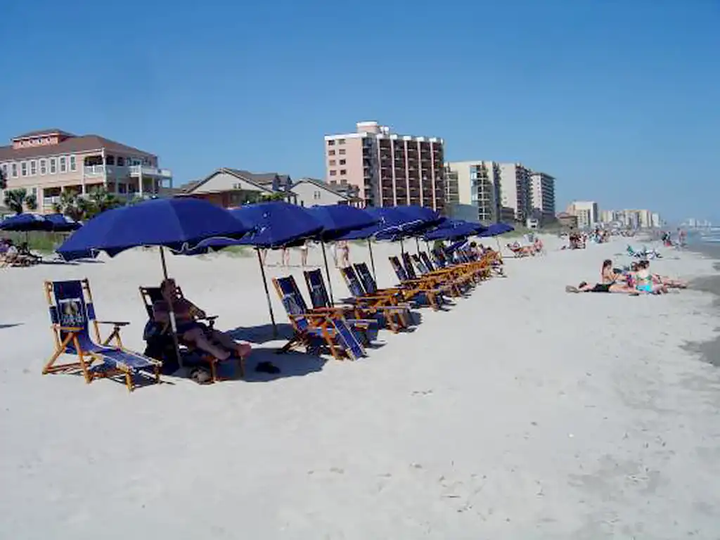 Blue beach umbrellas and lounge chairs lined up on sand