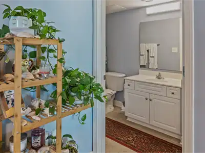 Bright bathroom with coastal accents, greenery, and a clean modern vanity